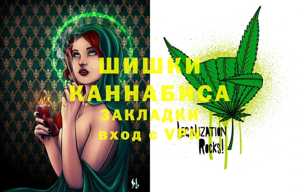 ПСИЛОЦИБИНОВЫЕ ГРИБЫ Алзамай