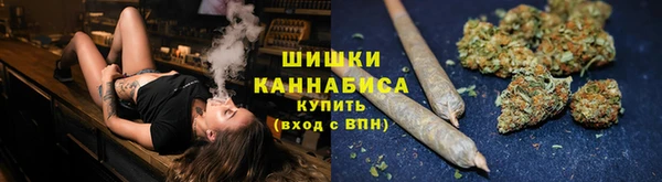 ПСИЛОЦИБИНОВЫЕ ГРИБЫ Алзамай