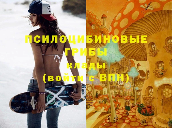 ПСИЛОЦИБИНОВЫЕ ГРИБЫ Алзамай