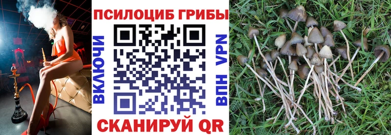 OMG   купить наркотики цена  Байкальск  Галлюциногенные грибы прущие грибы 